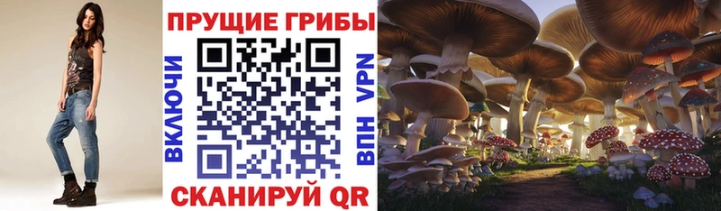 Галлюциногенные грибы Cubensis  kraken ССЫЛКА  Владикавказ 